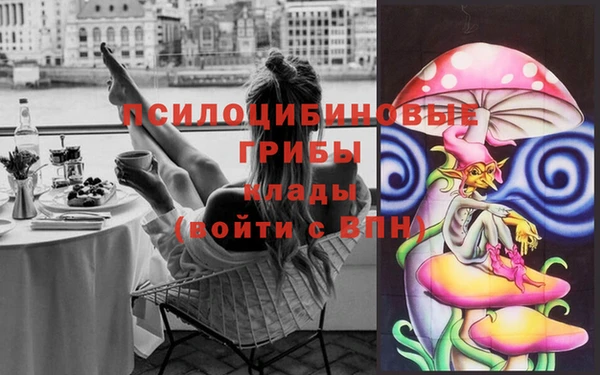 стафф Алексин