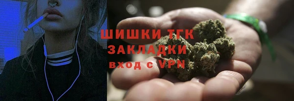 сатива Алексеевка