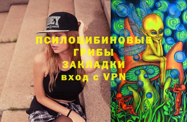стафф Алексин