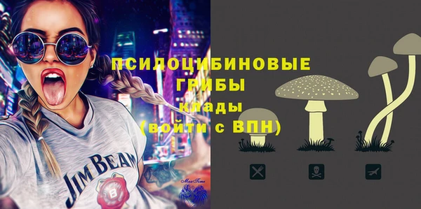 стафф Алексин